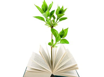 Curso de Especialista en Educación Ambiental