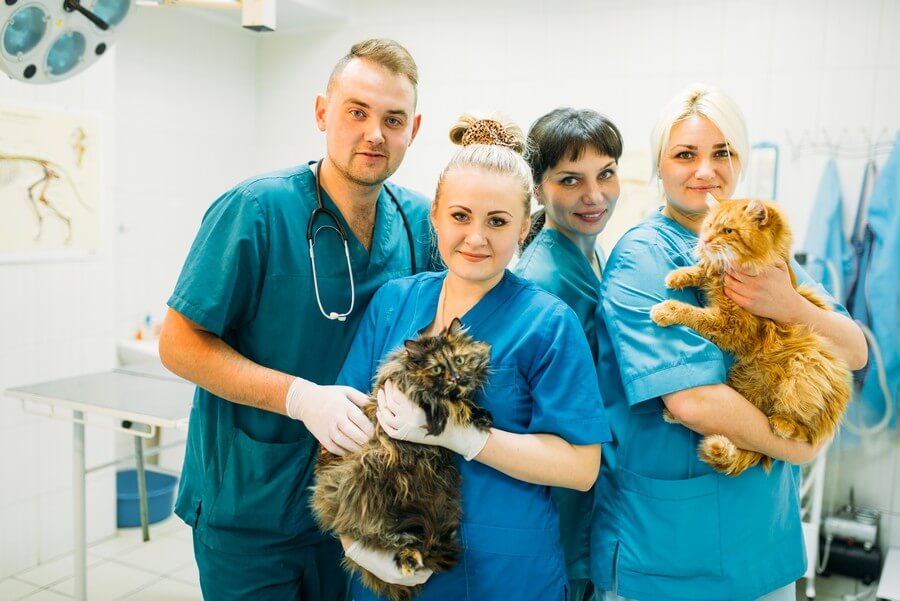Curso de Dirección de Centros Veterinarios